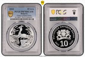 2022 10 Leva Great Crested Grebe PR70DCAM