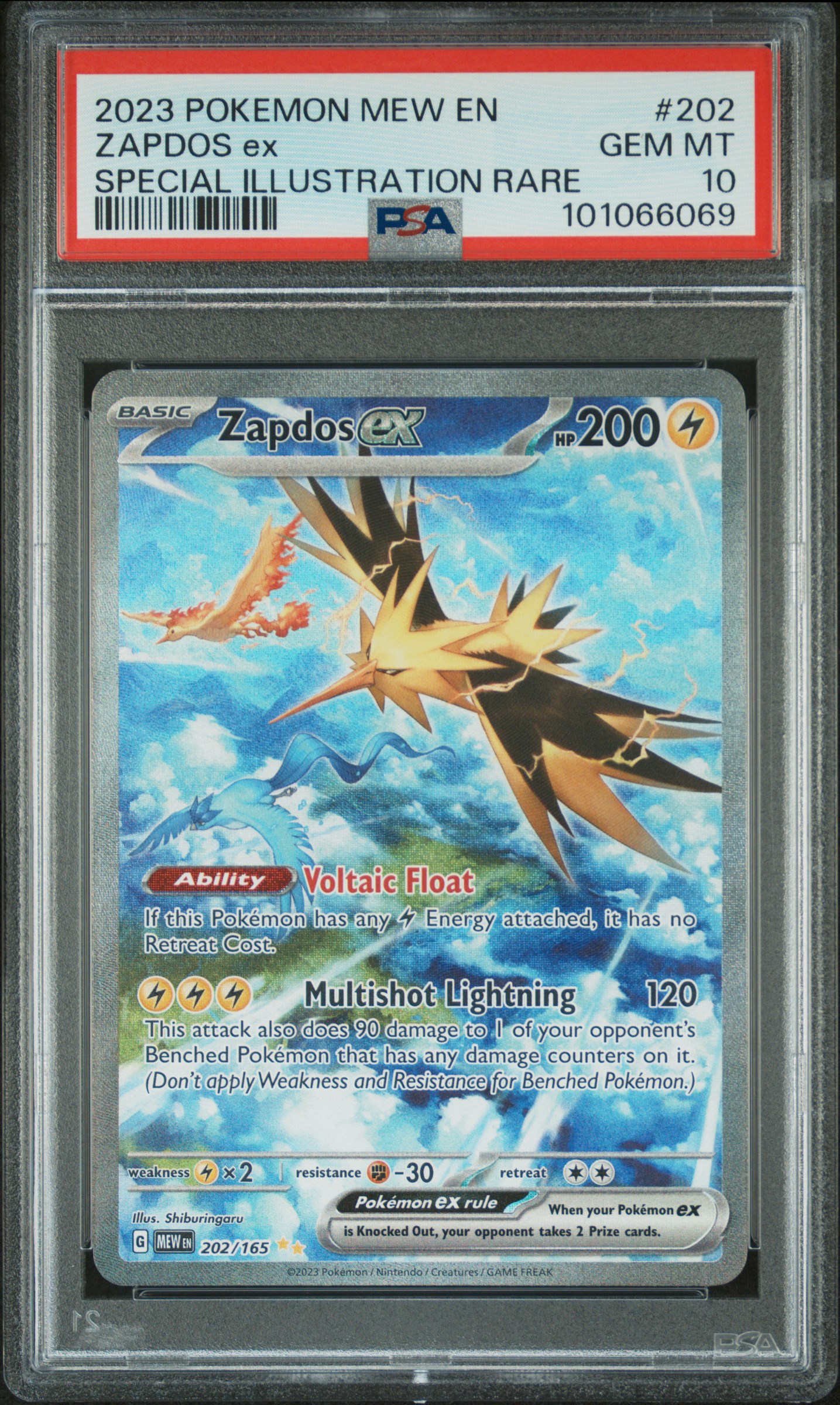 Zapdos ex #202