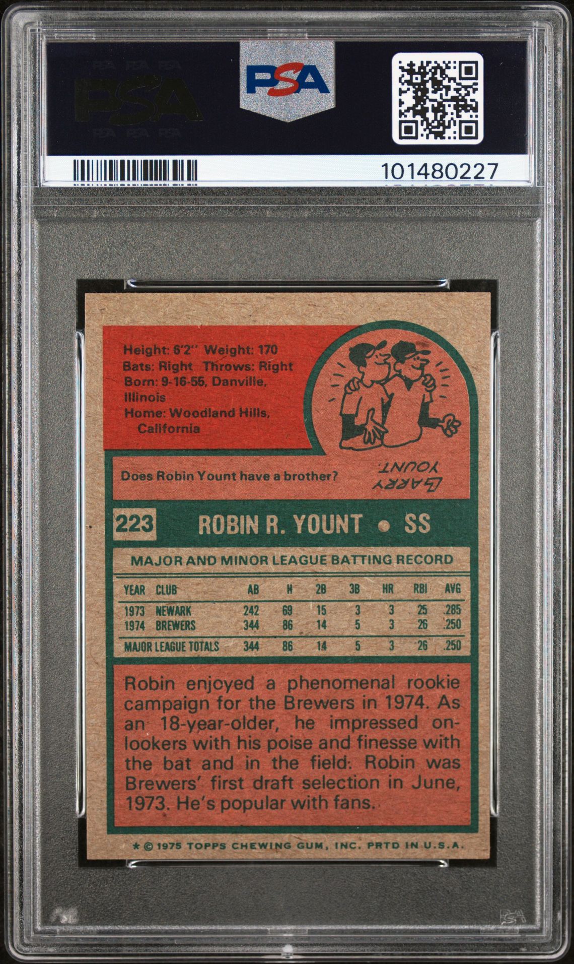 1975 Topps Mini Robin Yount #223 Ex-Mt 6 back