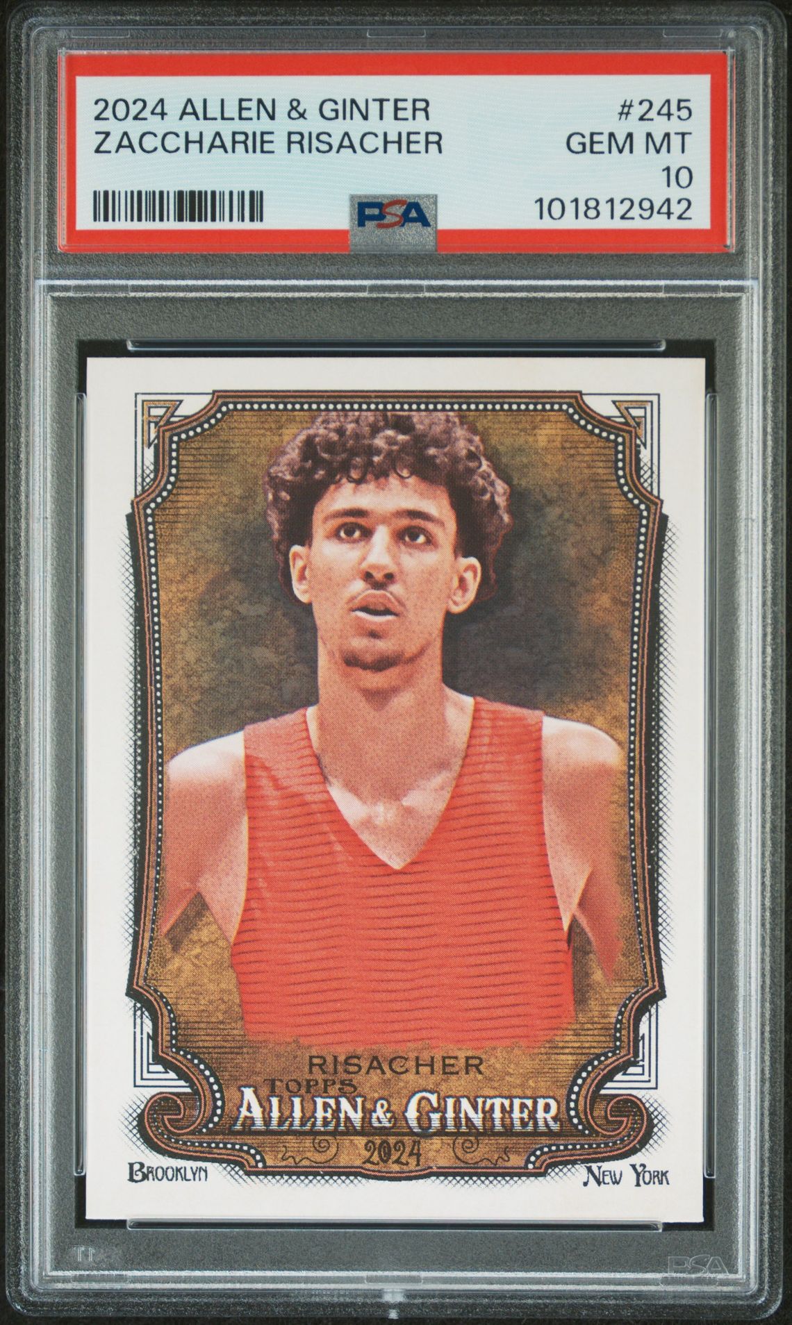 2024 Topps TOPPS ALLEN & GINTER SILVER PORTRAIT HOT BOX #245 Zaccharie Risacher front