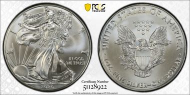 2020 $1 Silver Eagle MS70