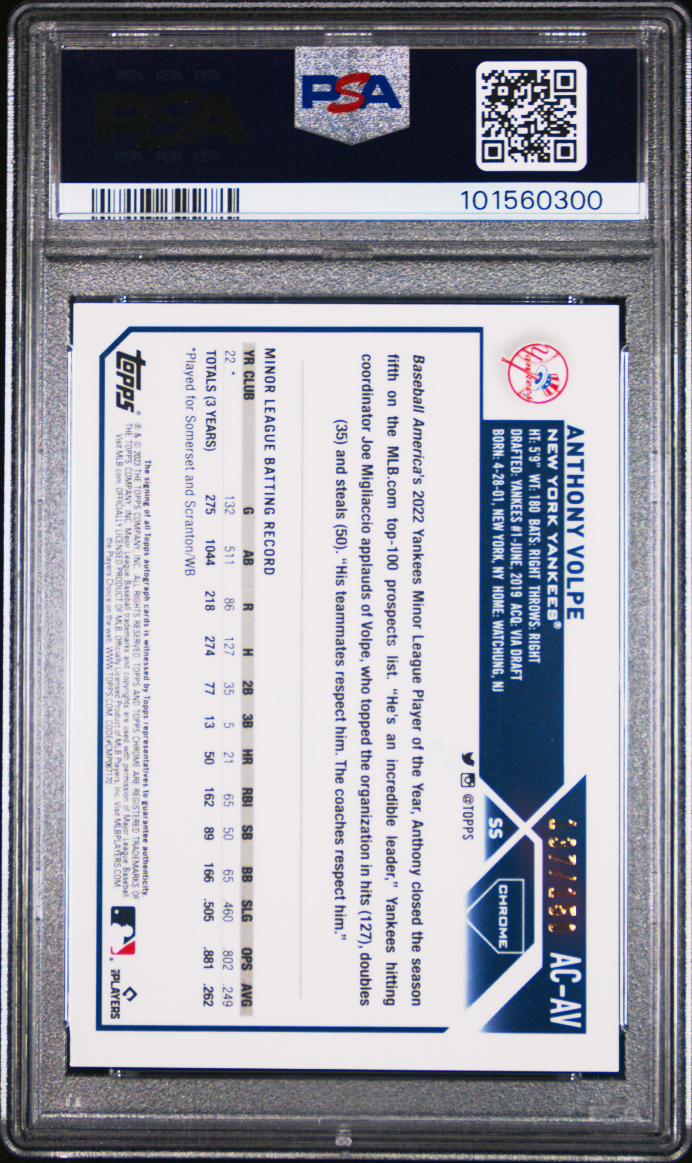 2023 Topps Chrome Update Autograph Anthony Volpe #Acav (Autograph-Blue Refractor) Mint 9 back