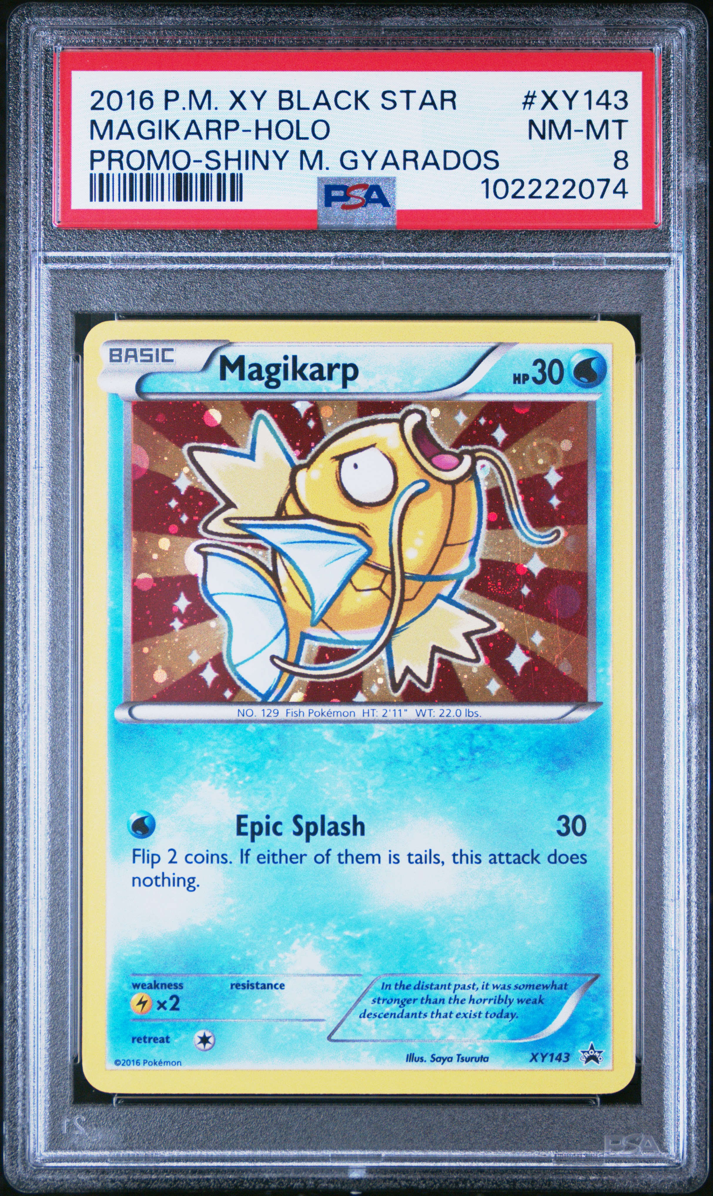 2016 Pokemon Xy Black Star Promo Magikarp-Holo #Xy143 (Promo-Shiny M. Gyarados) Nm-Mt 8 front