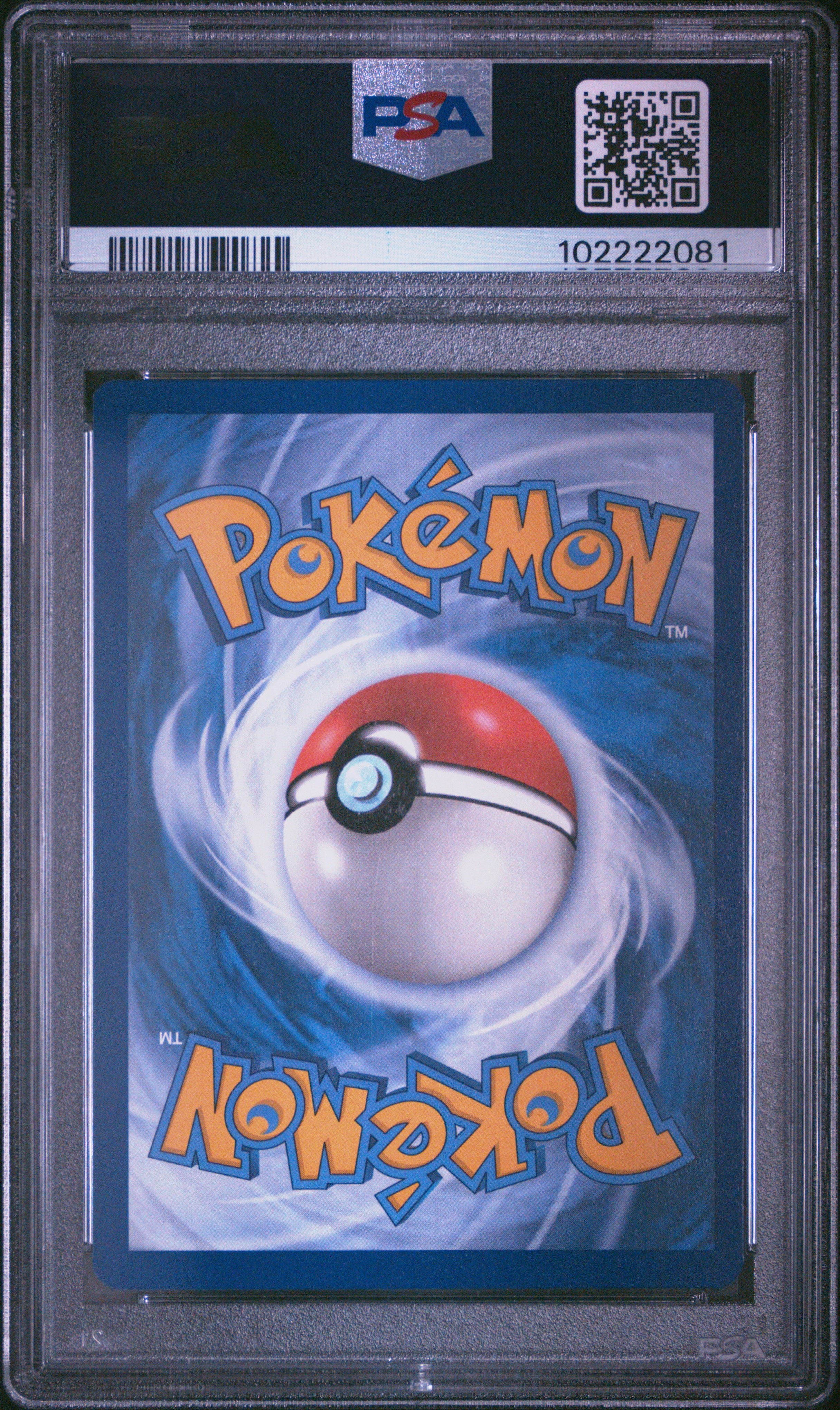 2024 Pokemon Scr En-Stellar Crown Squirtle #148 (Illustration Rare) Gem Mt 10 back