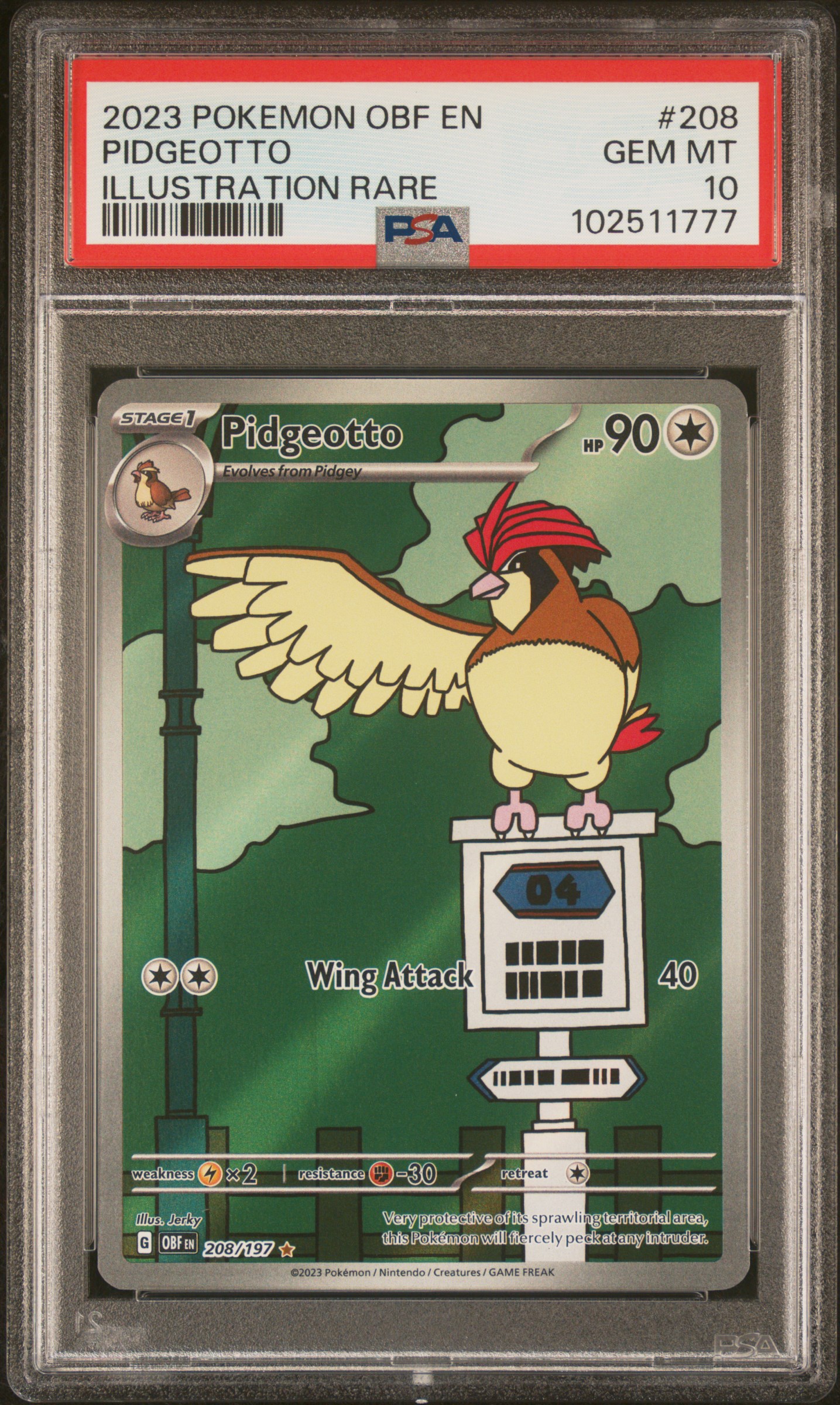Pidgeotto #208