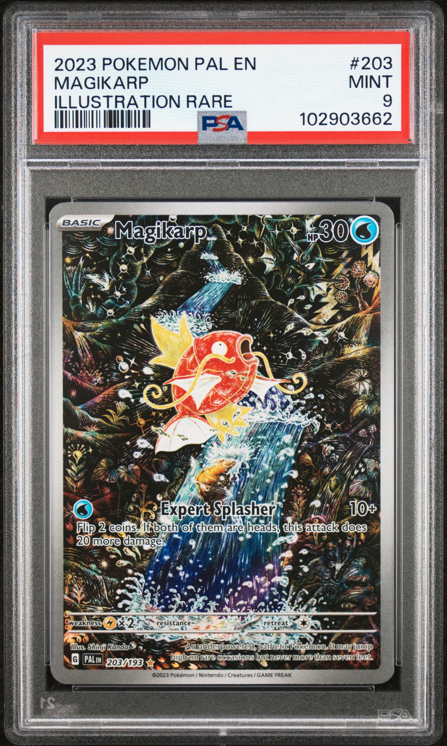 2023 Pokemon Pal En-Paldea Evolved Magikarp #203 (Illustration Rare) Mint 9 front