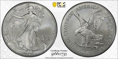2024-W $1 Burnished Silver Eagle First Strike SP69