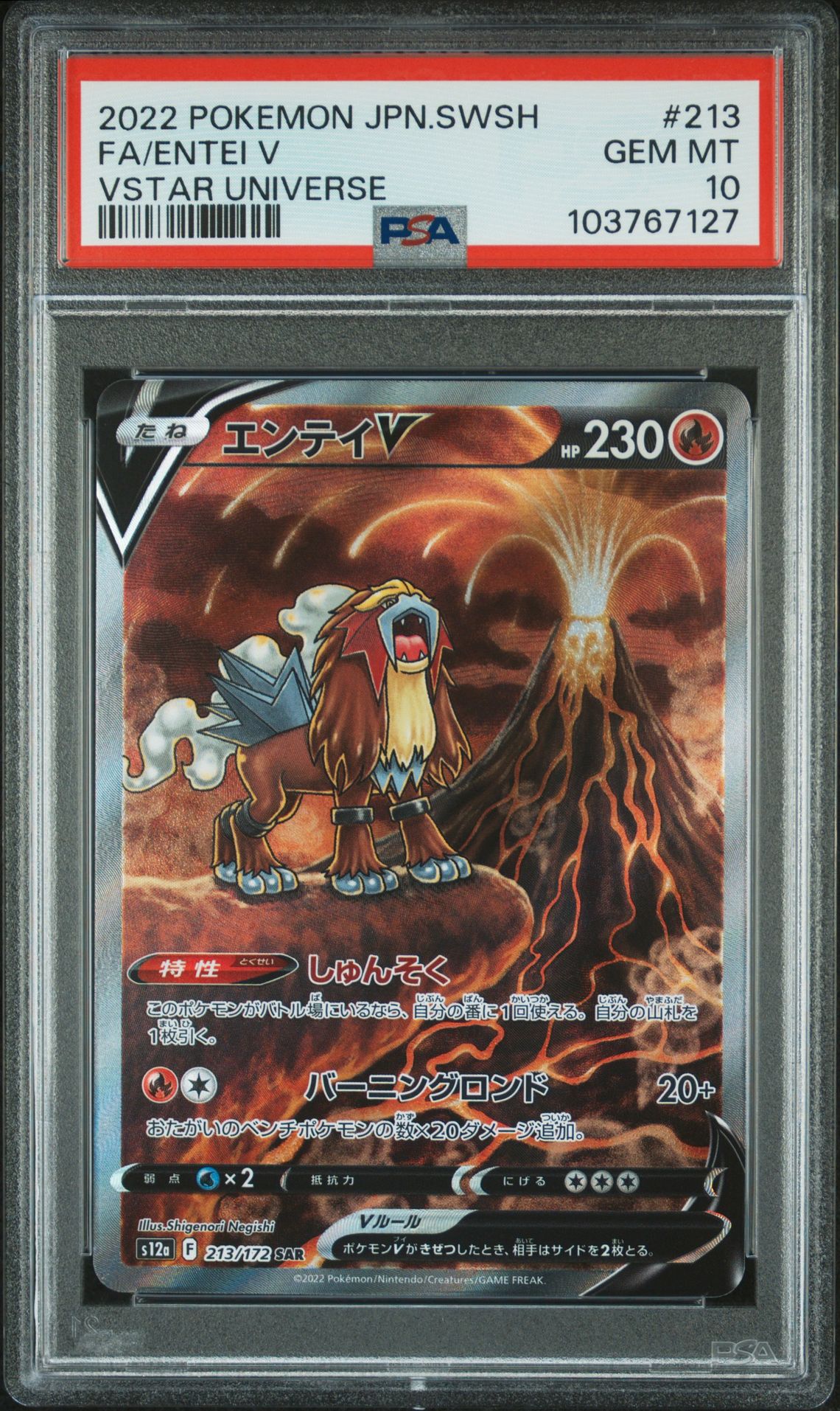 2022 Pokemon Japanese Sword & Shield Vstar Universe Fa/Entei V #213 (Vstar Universe) Gem Mt 10 front