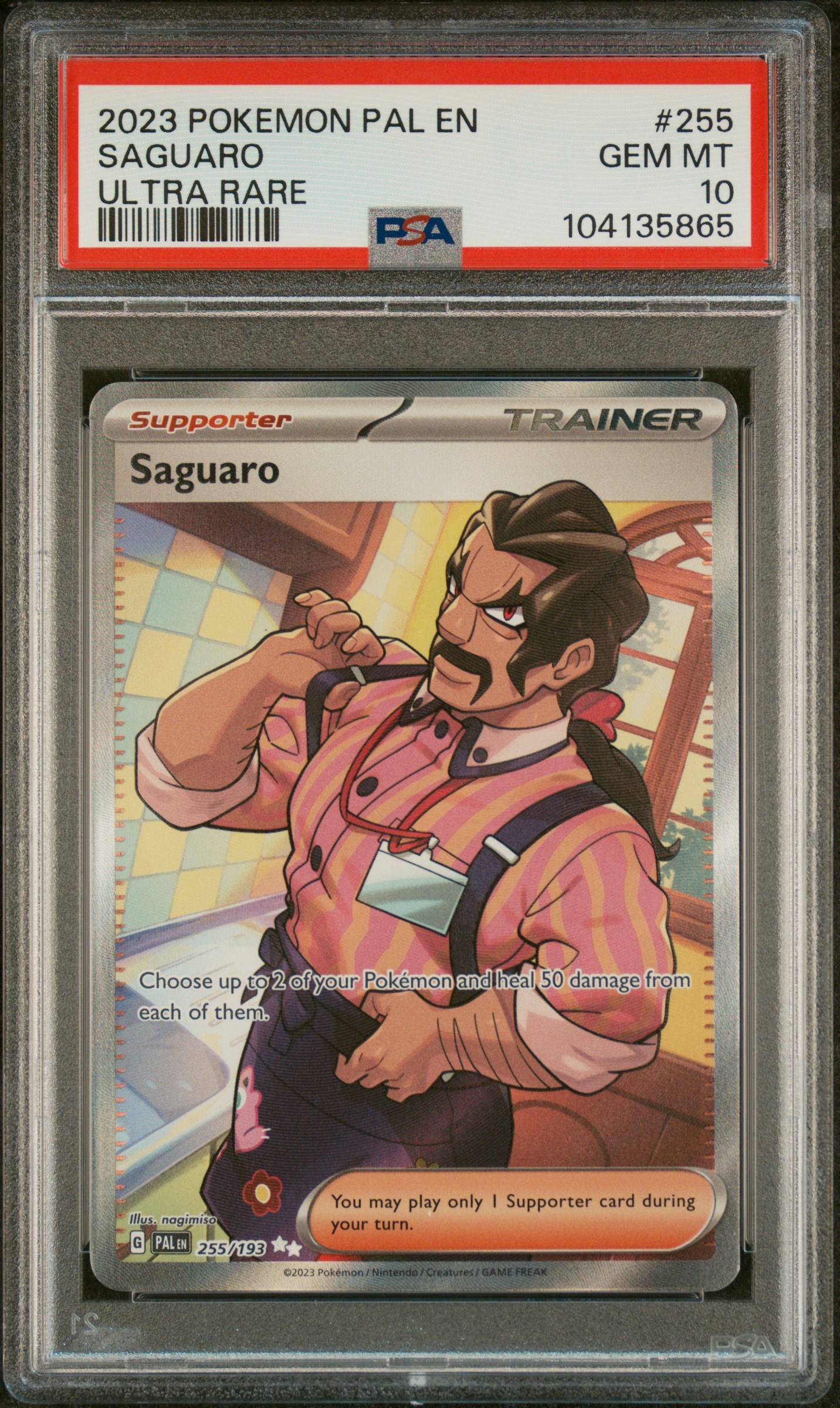 Saguaro #255