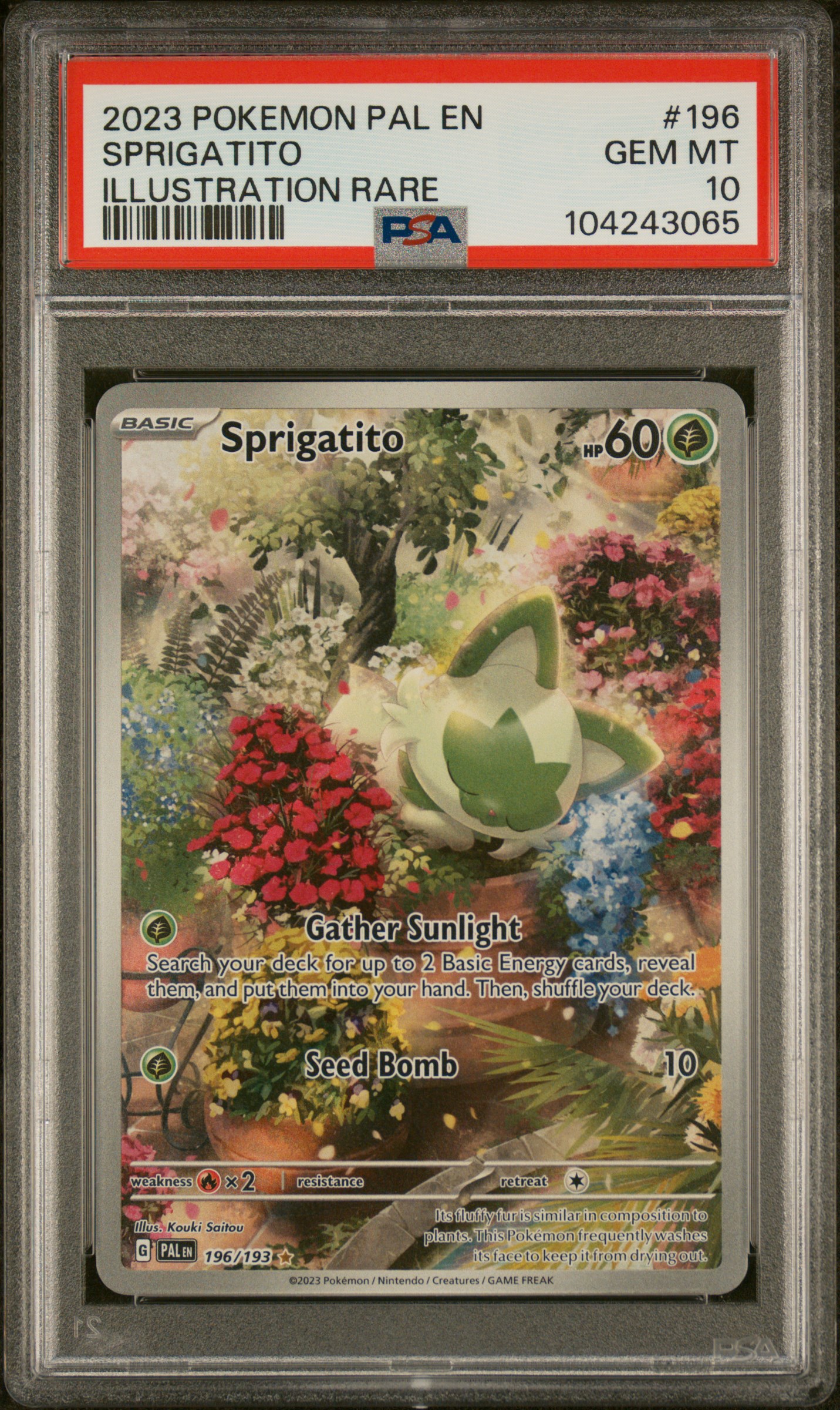 2023 #196 Sprigatito PSA 10 Pal EN-Paldea Evolved