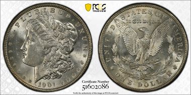 1901 $1 VAM 5 Doubled Ear MS61