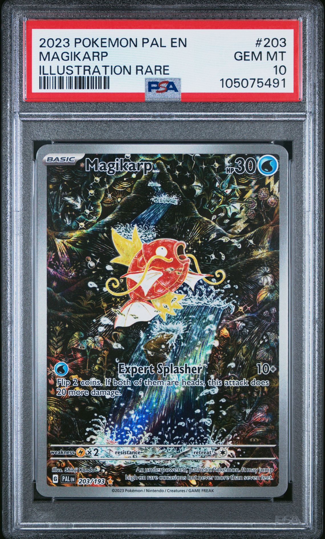 2023 Pokemon Paldea Evolved Illustration Rare #203 Magikarp front