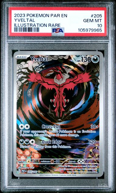 2023 Pokemon Par En-Paradox Rift Yveltal #205 (Illustration Rare) Gem Mt 10 front