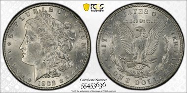 1902-O $1 VAM 43 Doubled Ear MS63