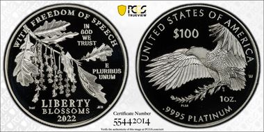 2022-W $100 Freedom of Speech PR70DCAM