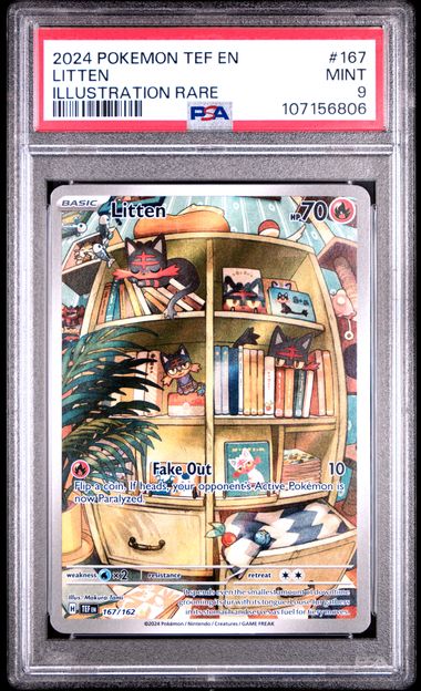 2024 Pokemon Tef En-Temporal Forces Litten #167 (Illustration Rare) Mint 9 front