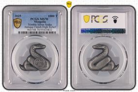 2025 1000 T Nimble Silver Snake Antique Finish High Relief MS70