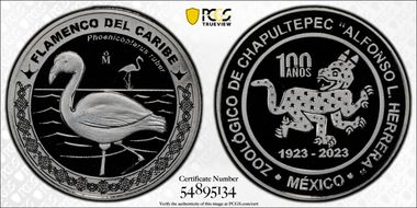 2023-Mo Medal Chapultepec Zoo Ag Flamenco del Caribe SP70