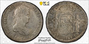 1816-PTS PJ 8 R Calico-1380 AU55