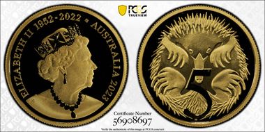 2023 5C Gold PR70DCAM