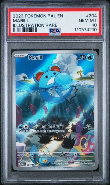 2023 Pokemon Pal En-Paldea Evolved Marill #204 (Illustration Rare) Gem Mt 10 front