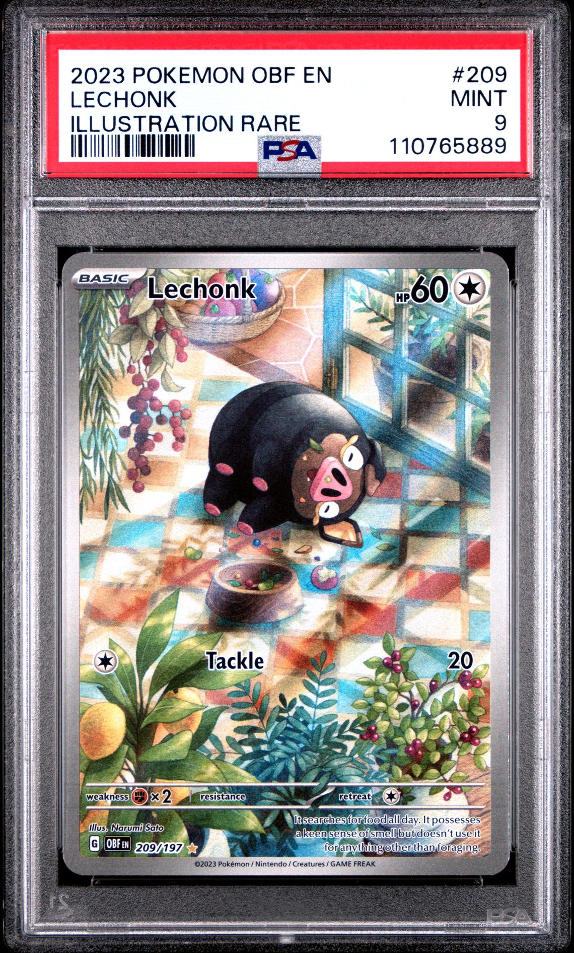 2023 Pokemon POKEMON OBF EN-OBSIDIAN FLAMES ILLUSTRATION RARE #209 Lechonk front
