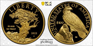 2023-W $100 American Liberty High Relief .9999 Fine PR70DCAM