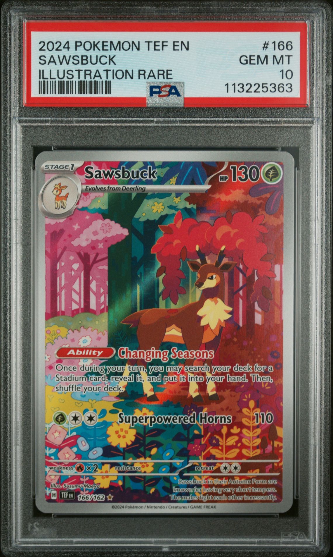2024 Pokemon POKEMON TEF EN-TEMPORAL FORCES ILLUSTRATION RARE #166 Sawsbuck front