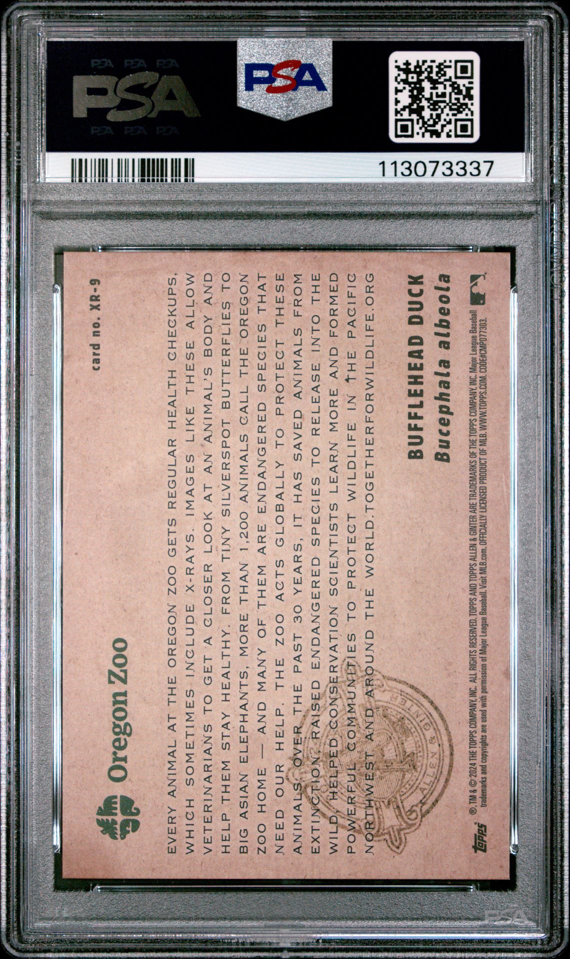 2024 Topps Allen & Ginter X-Ray'd Bufflehead Duck #Xr9 Mint 9 back