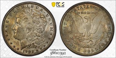 1902 $1 MS63