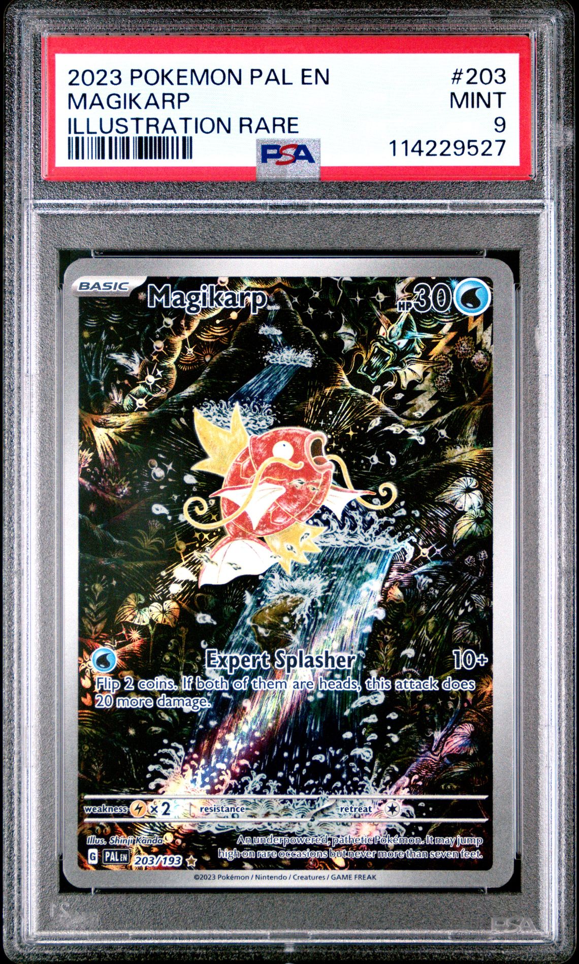 2023 Pokemon Pal En-Paldea Evolved Magikarp #203 (Illustration Rare) Mint 9 front