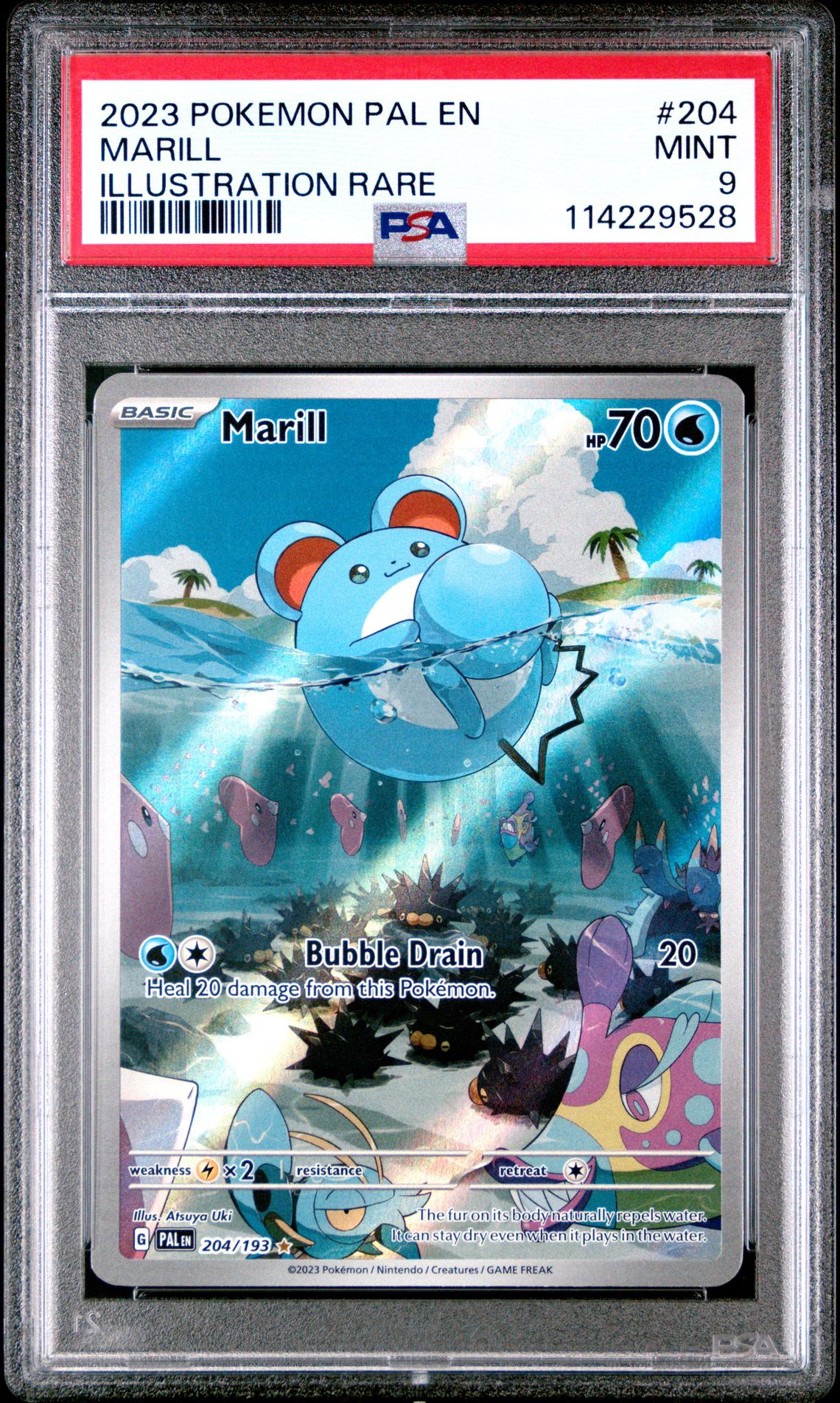 2023 Pokemon Pal En-Paldea Evolved Marill #204 (Illustration Rare) Mint 9 front