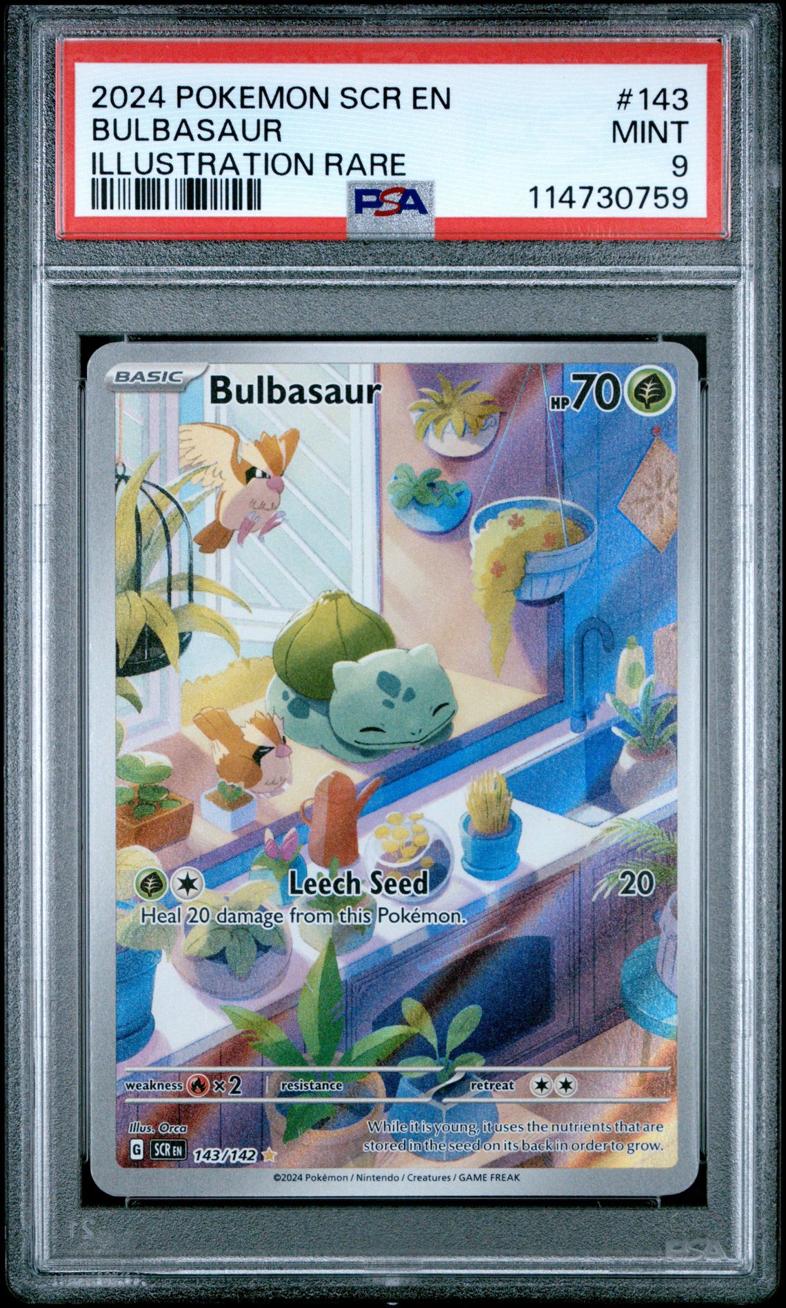 2024 Pokemon Scr En-Stellar Crown Bulbasaur #143 (Illustration Rare) Mint 9 front
