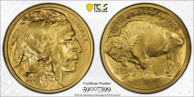 2008-W $10 Burnished American Buffalo .9999 Fine Gold SP70