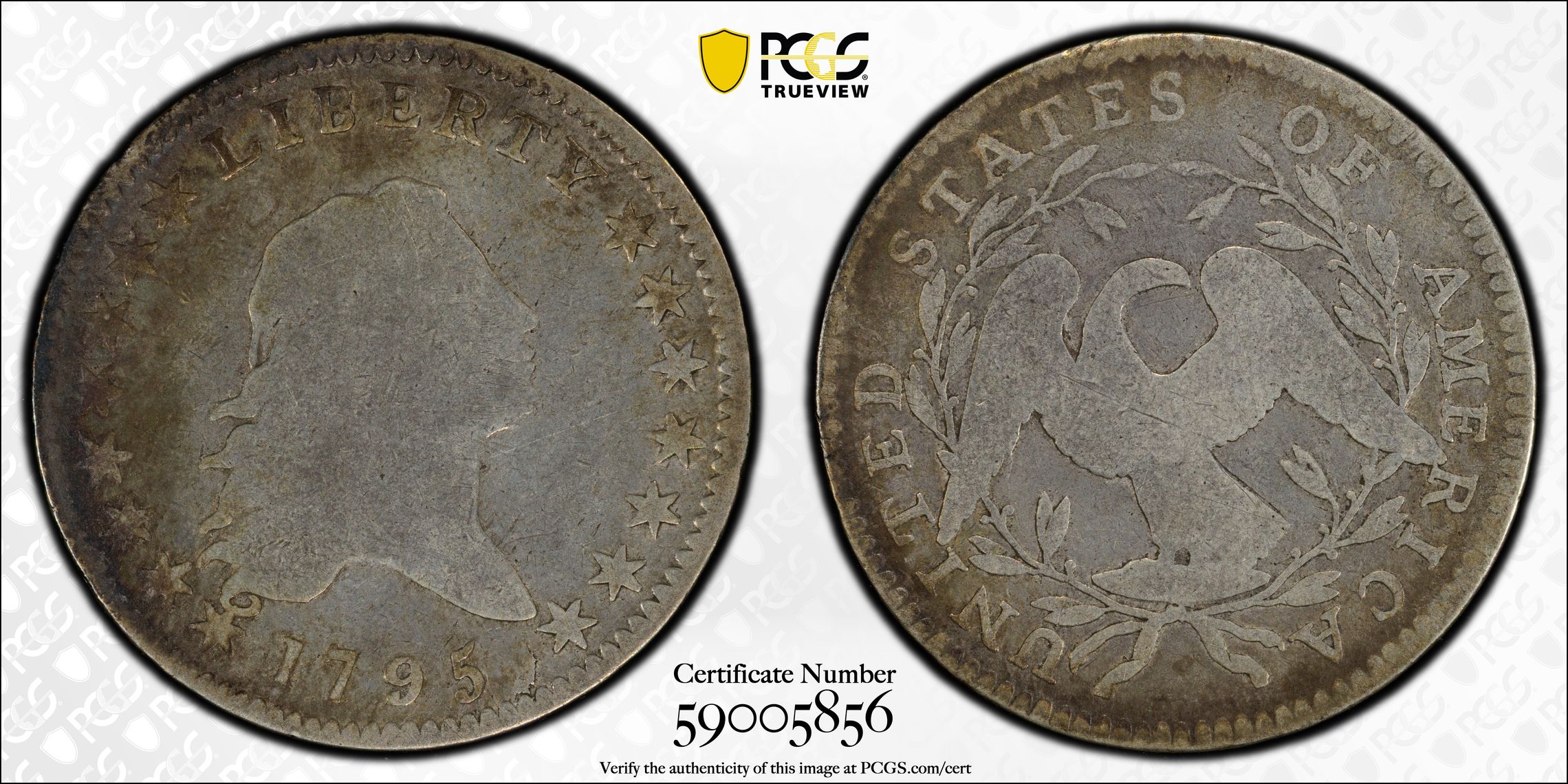 1795 P Half Dollar