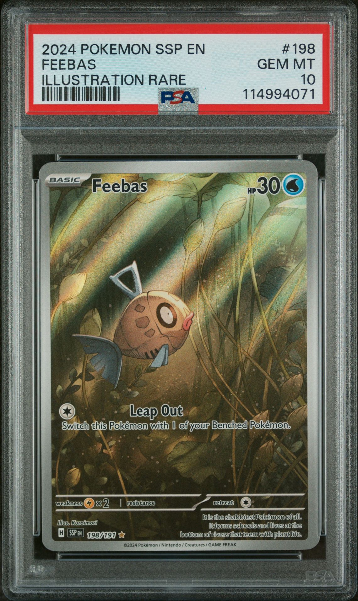 2024 Pokemon POKEMON SSP EN-SURGING SPARKS ILLUSTRATION RARE #198 Feebas front