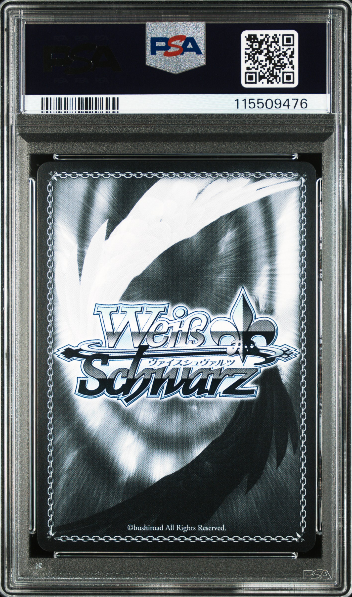 #T21 "NEW WORLD" MODERNIA (NIK/S117-TD-SP SIGNATURE) — back