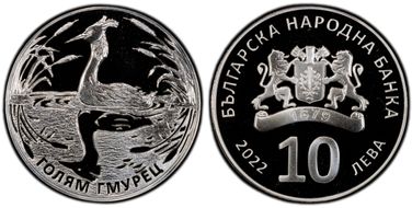 2022 10 Leva Great Crested Grebe PR70DCAM