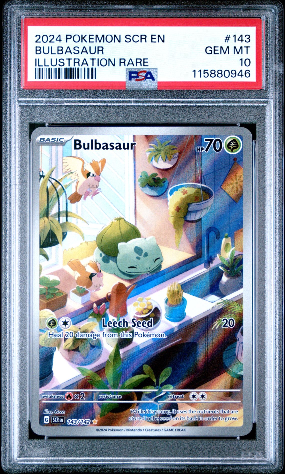 2024 Pokemon Scr En-Stellar Crown Bulbasaur #143 (Illustration Rare) Gem Mt 10 front