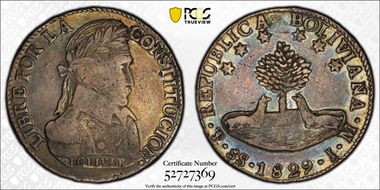 1829-PTS JM 8 Sol V in BOLIVIANA Inverted A VF25