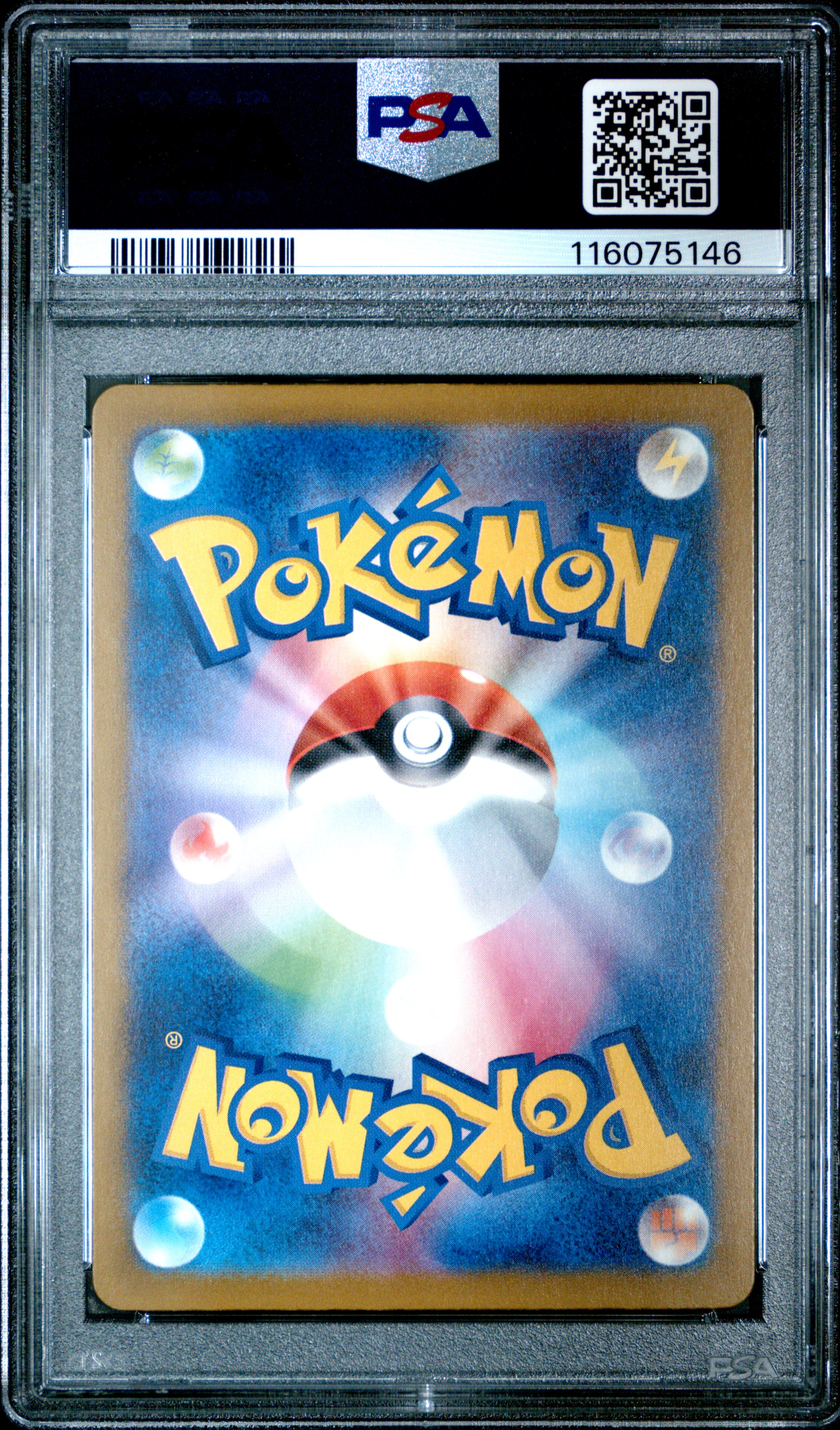 vectorvyle's 2025 Pokemon Japanese Sv-P Promo Feraligatr