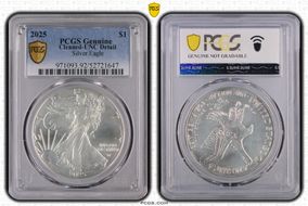 2025 $1 Silver Eagle N1
