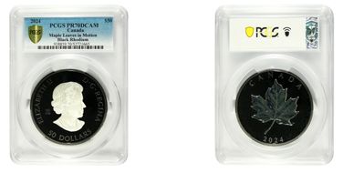 2024 $50 Maple Leaves in Motion Black Rhodium PR70DCAM