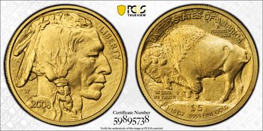 2008-W $5 Burnished Am. Buffalo First Strike .9999 Fine Gold SP70