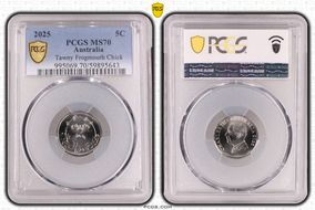 2025 5C Tawny Frogmouth Chick MS70