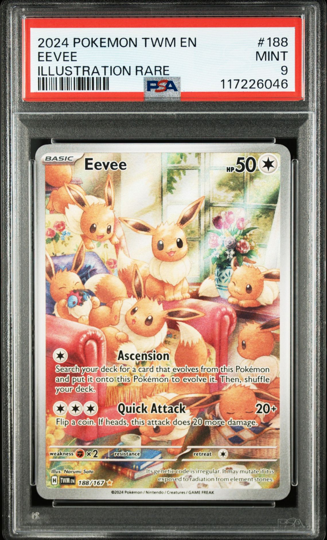 2024 Pokemon #188 Eevee front