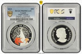 2013 $20 Maple Canopy Autumn - Colorized PR69DCAM