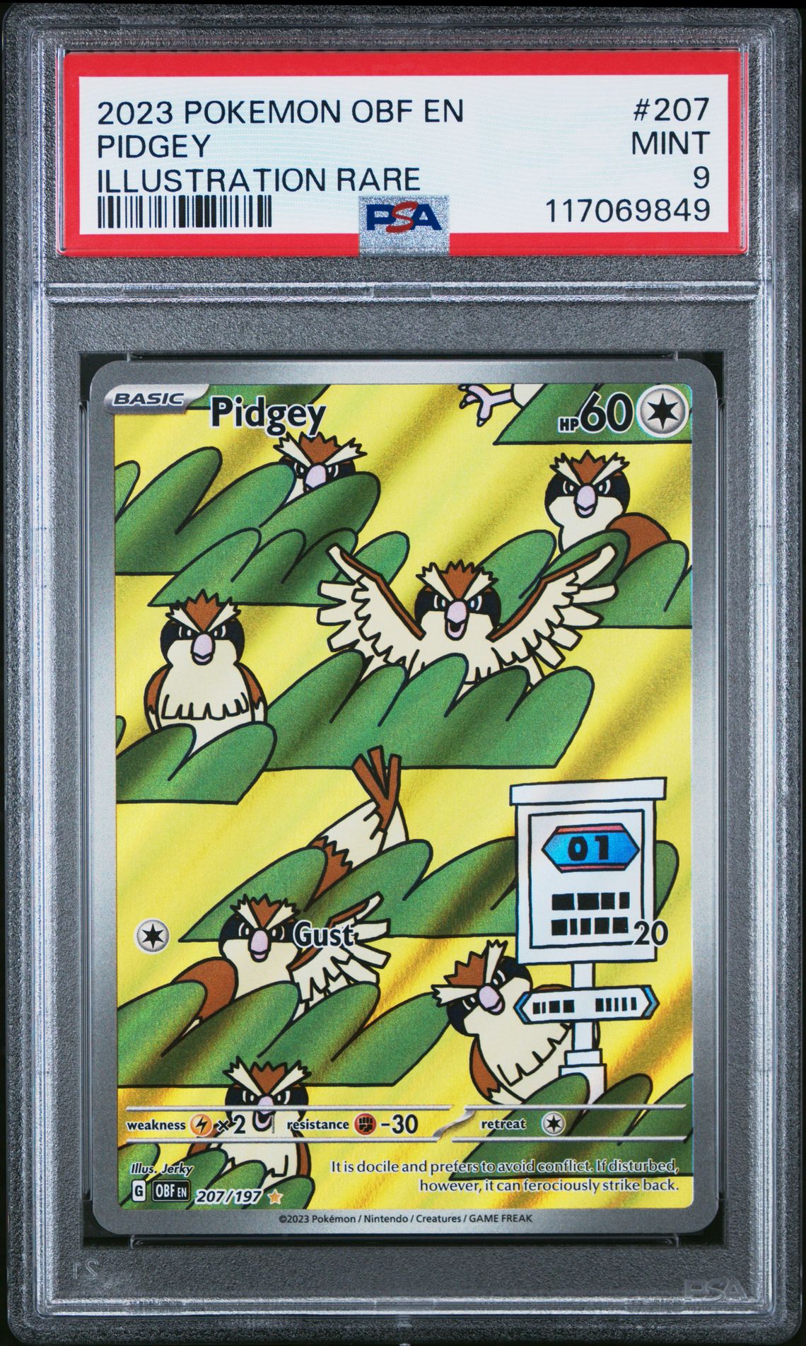 2023 Pokemon Obf En-Obsidian Flames Pidgey #207 (Illustration Rare) Mint 9 front