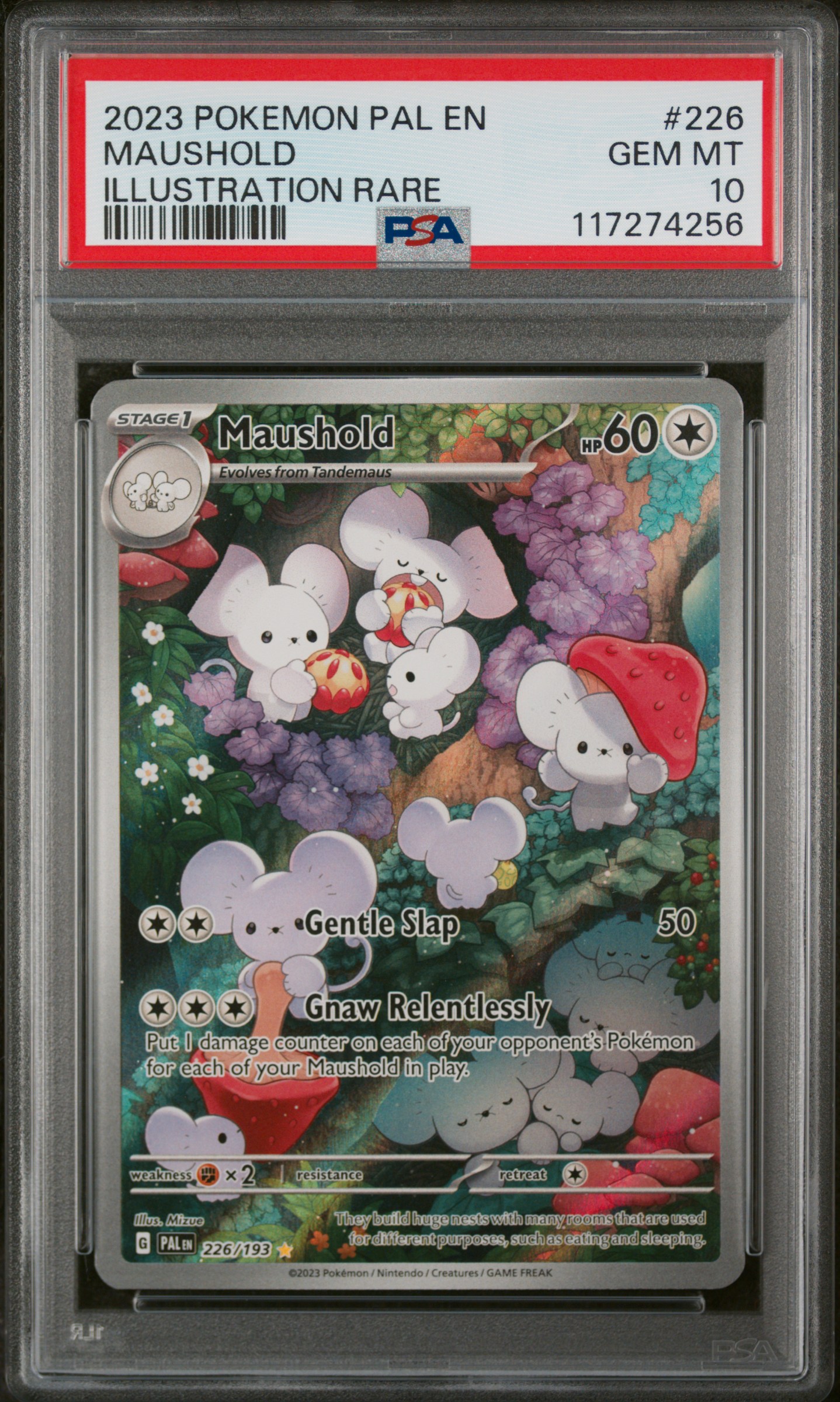 Maushold #226