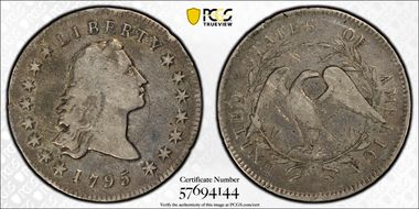 1795 $1 Flowing Hair, 2 Leaves N1